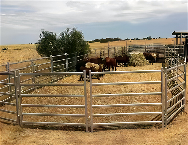 6 bar corral panels with gates for cattle farms
