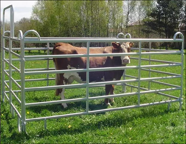 Hot dipped galvanized steel portable panels for cattles and horses breeding