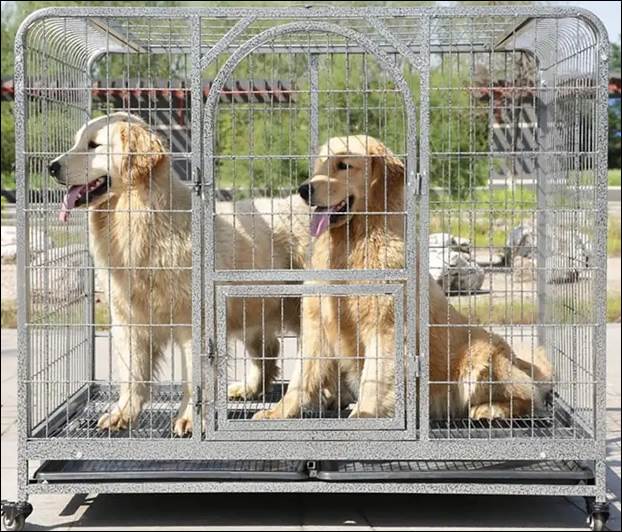 Callapsable steel dog cages for medium and large dogs
